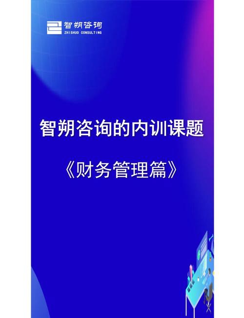 智朔咨询内训:财务实战精选